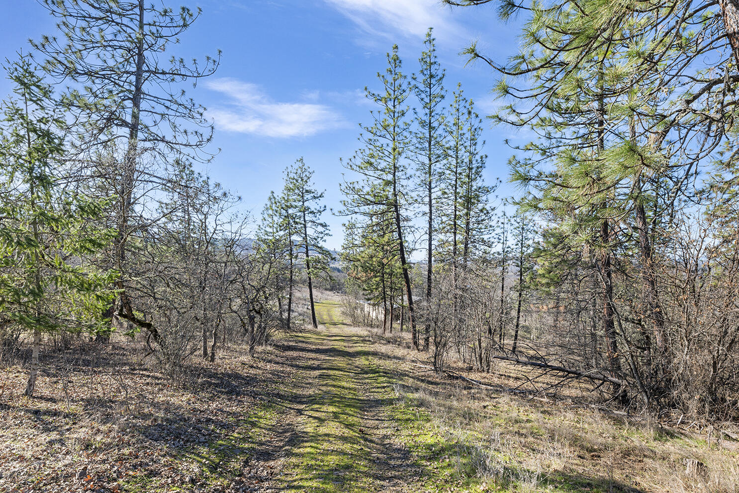 6443 Monta Vista Court