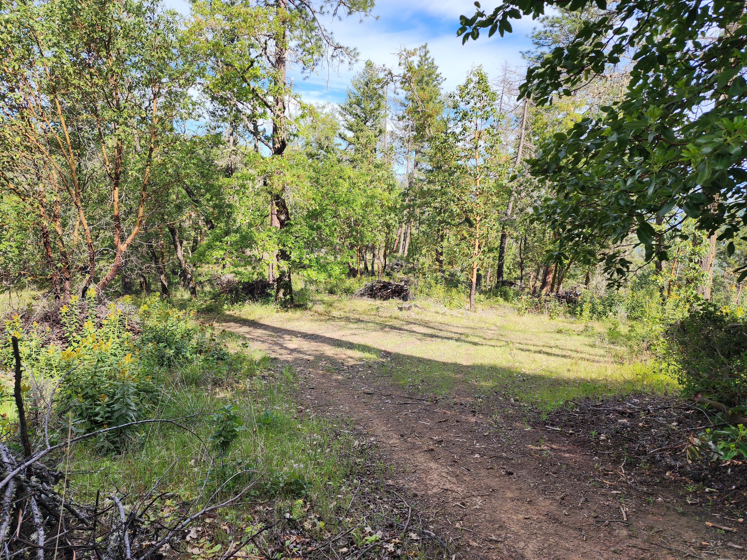 4550 W Griffin Creek Road