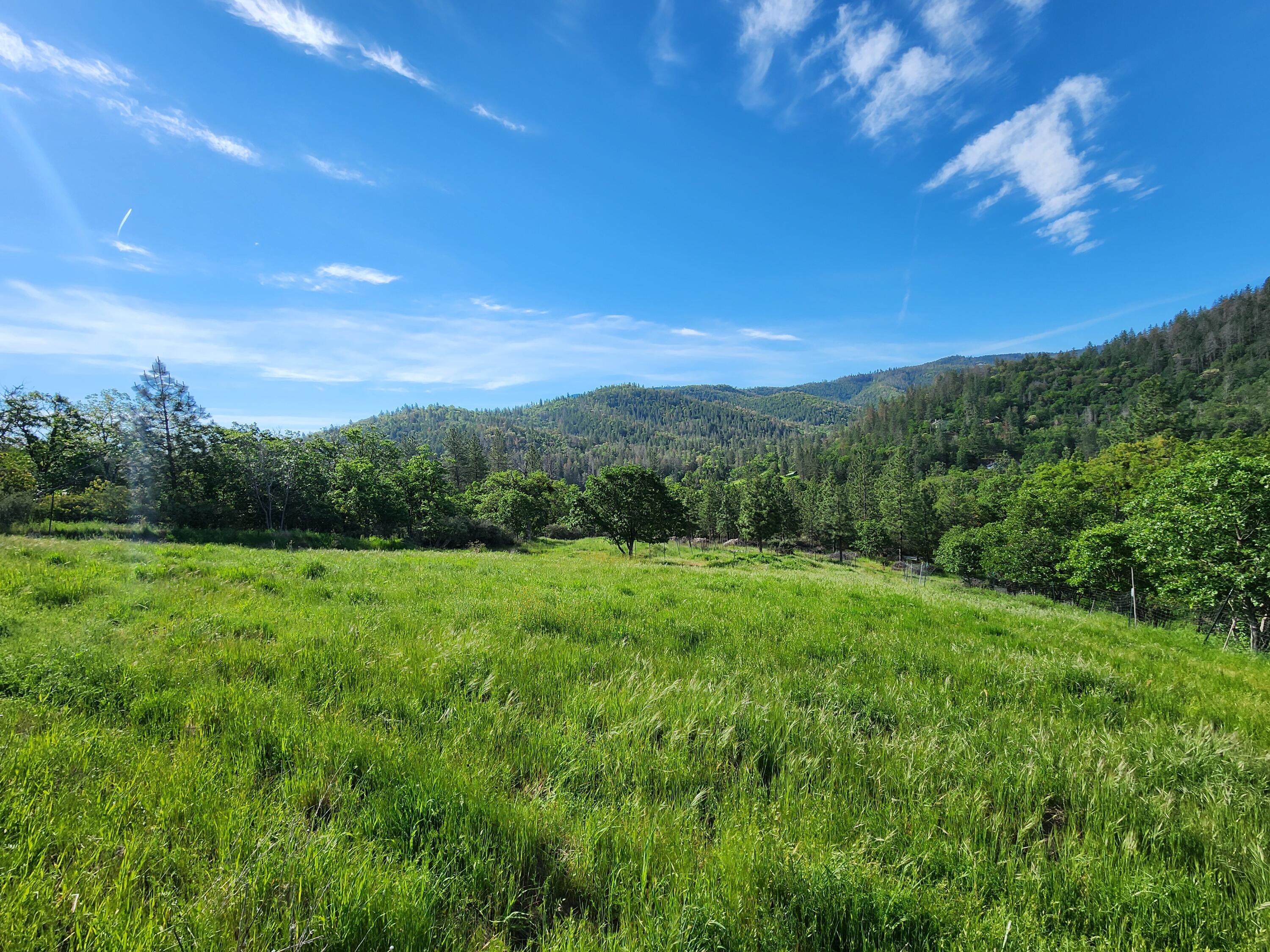 4550 W Griffin Creek Road