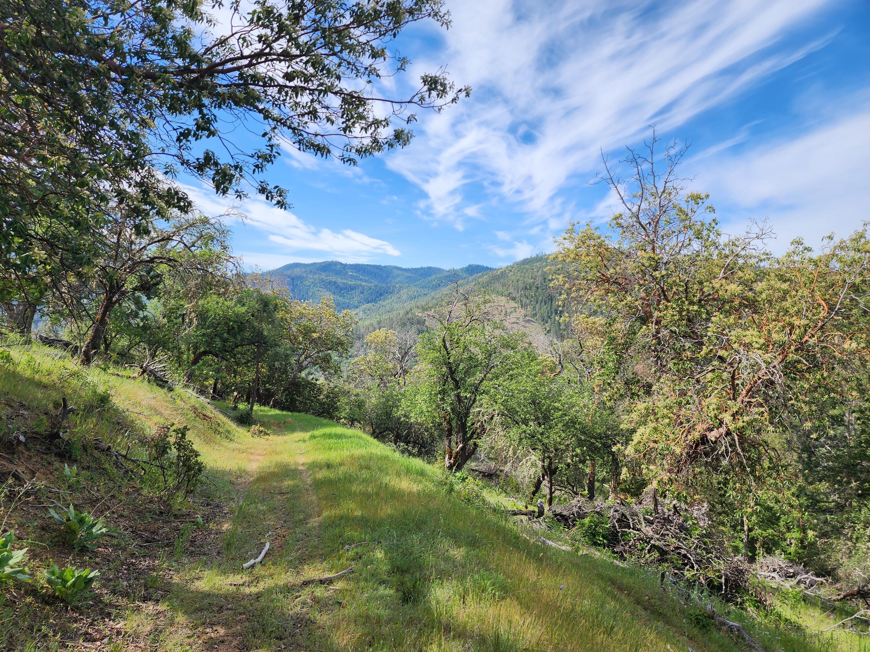 4550 W Griffin Creek Road