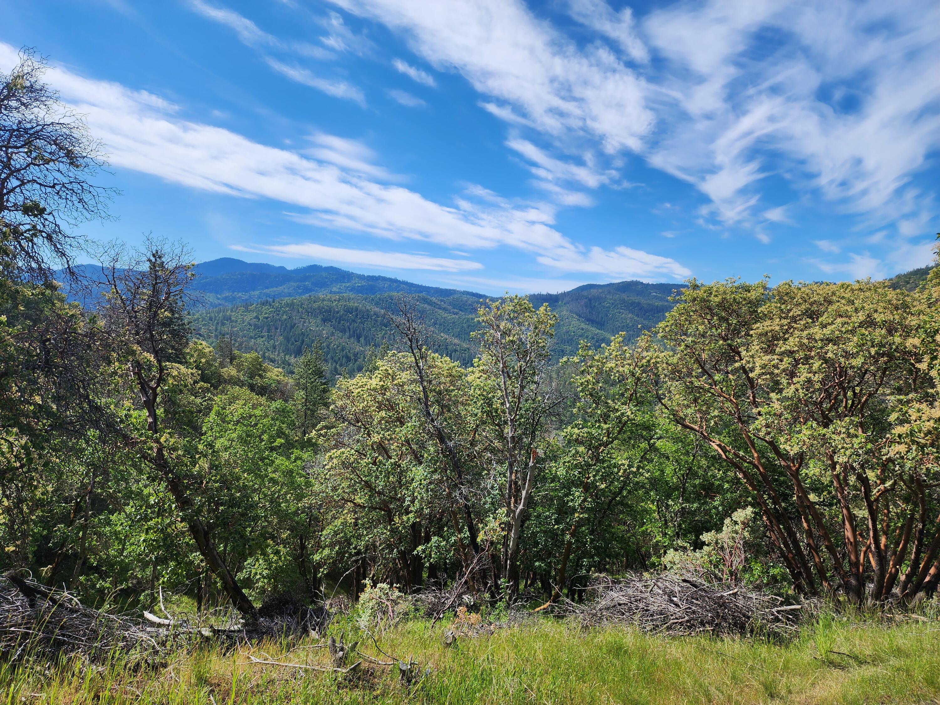 4550 W Griffin Creek Road
