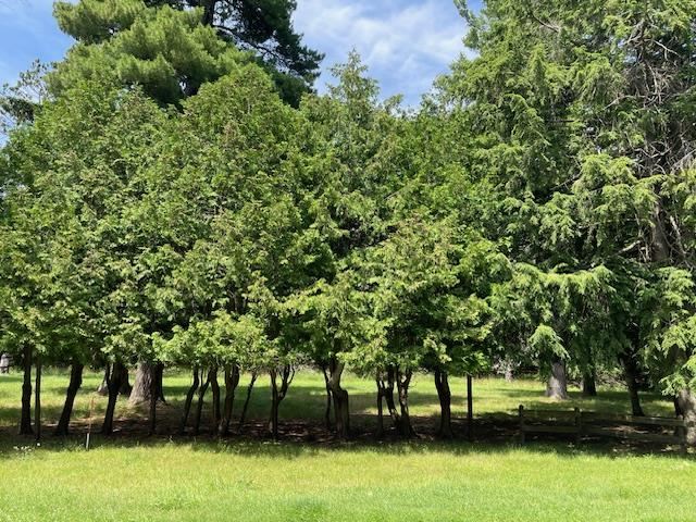 580 West Bluff Drive Unit: LOT B