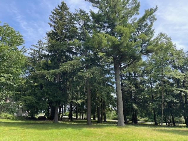 580 West Bluff Unit: Parcel A