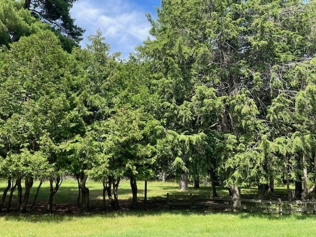 580 West Bluff Unit: Parcel A