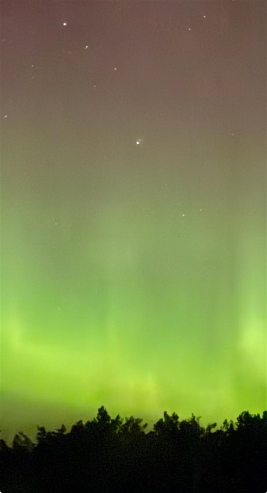 109 Two Pines Drive Unit: 15