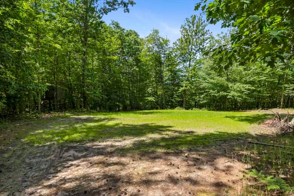 3135 Depew Road