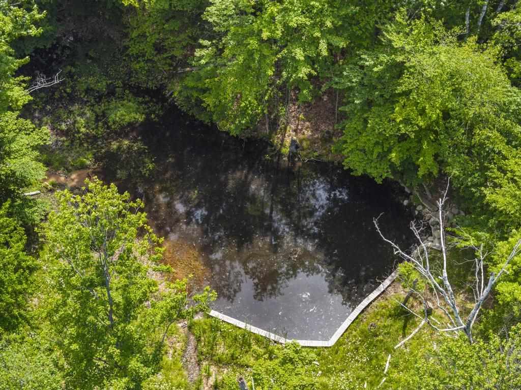 3135 Depew Road