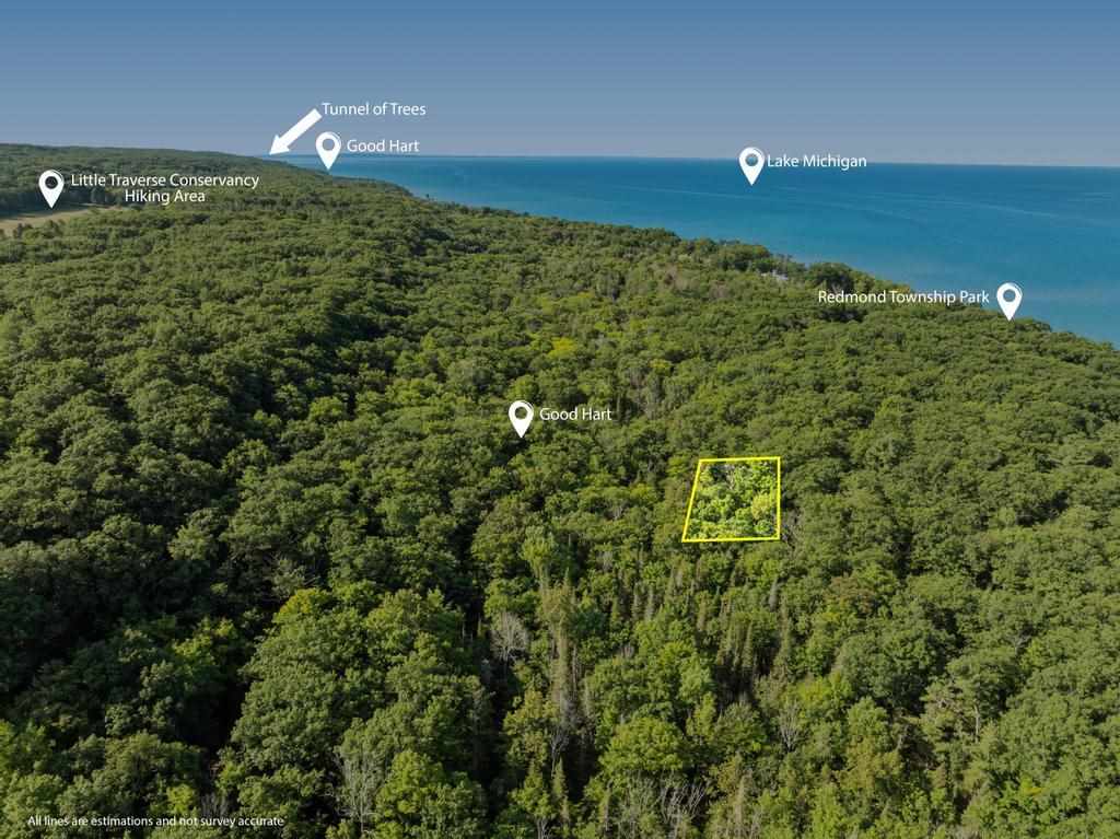 9770 Hemlock Trail