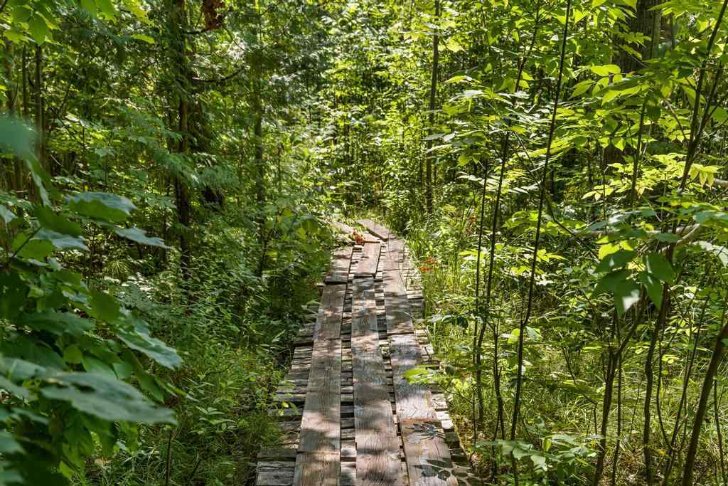 8970 Paradise Trail