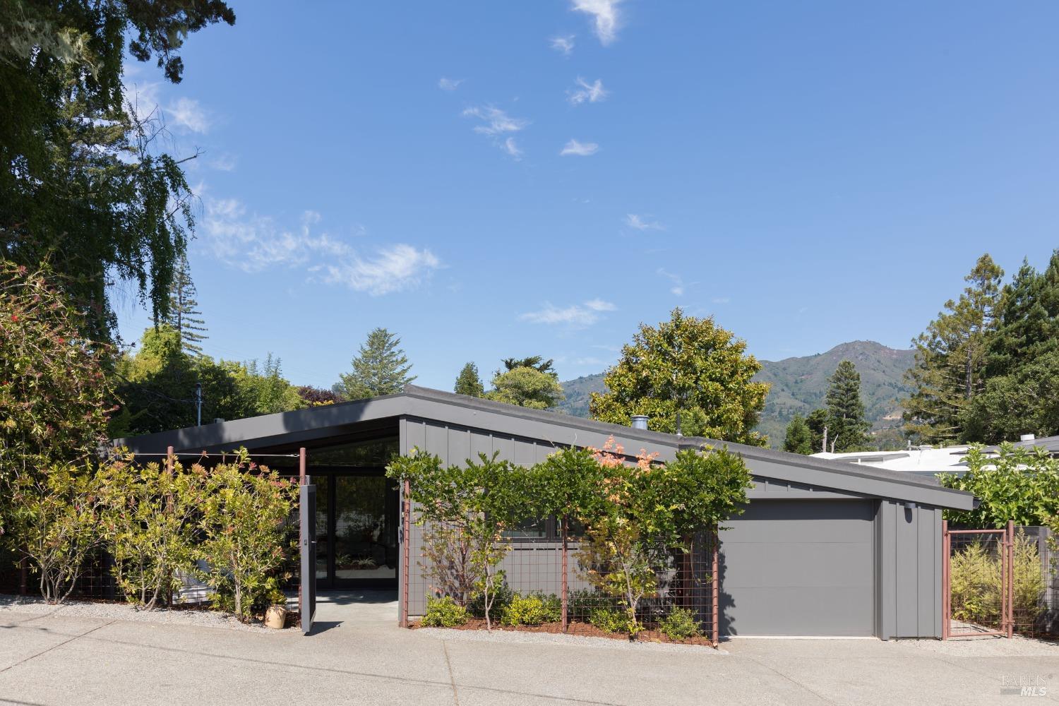 8 Birch Street