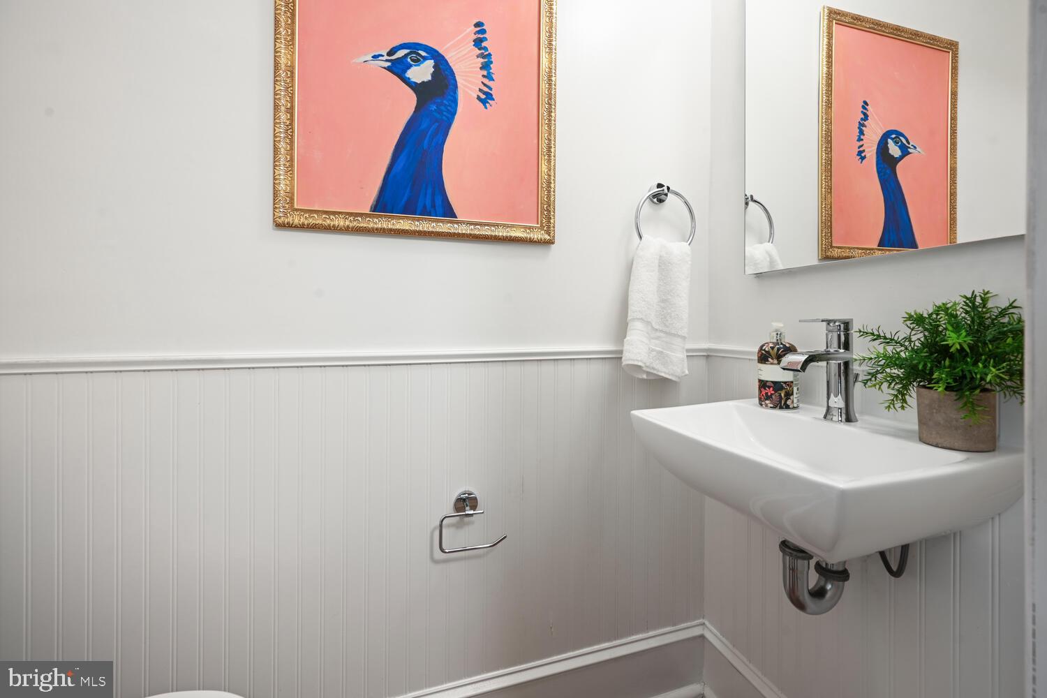 1206 EUCLID STREET NW