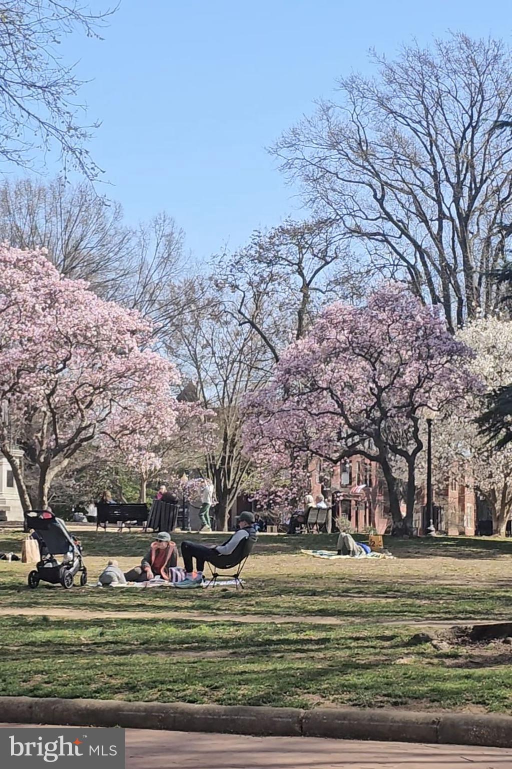 1353 EAST CAPITOL STREET SE