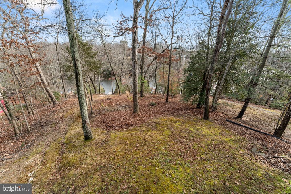 Wooded sloping lot with mossy ground, bare trees, and a view of water.