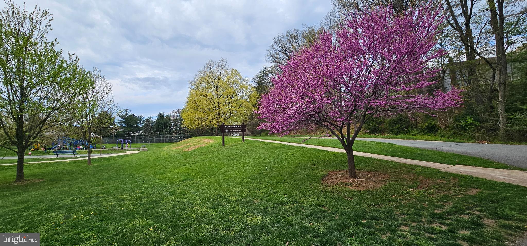 17028 BRIARDALE ROAD