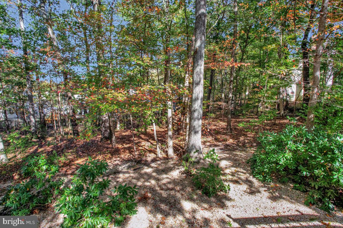 12340 QUIET OWL LANE