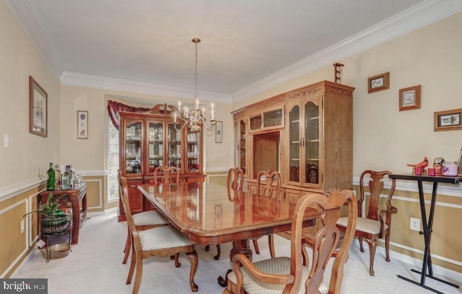 146 MEADOWVIEW LANE