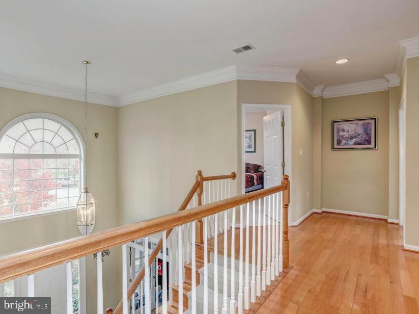 146 MEADOWVIEW LANE