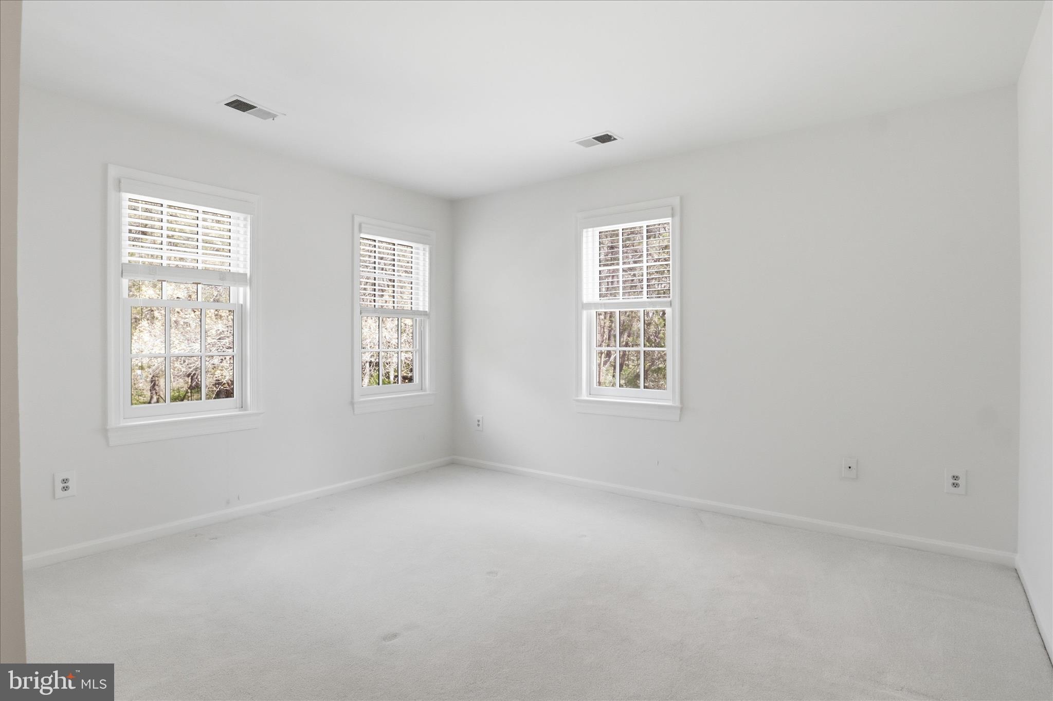 10101 MILL WHEEL LANE