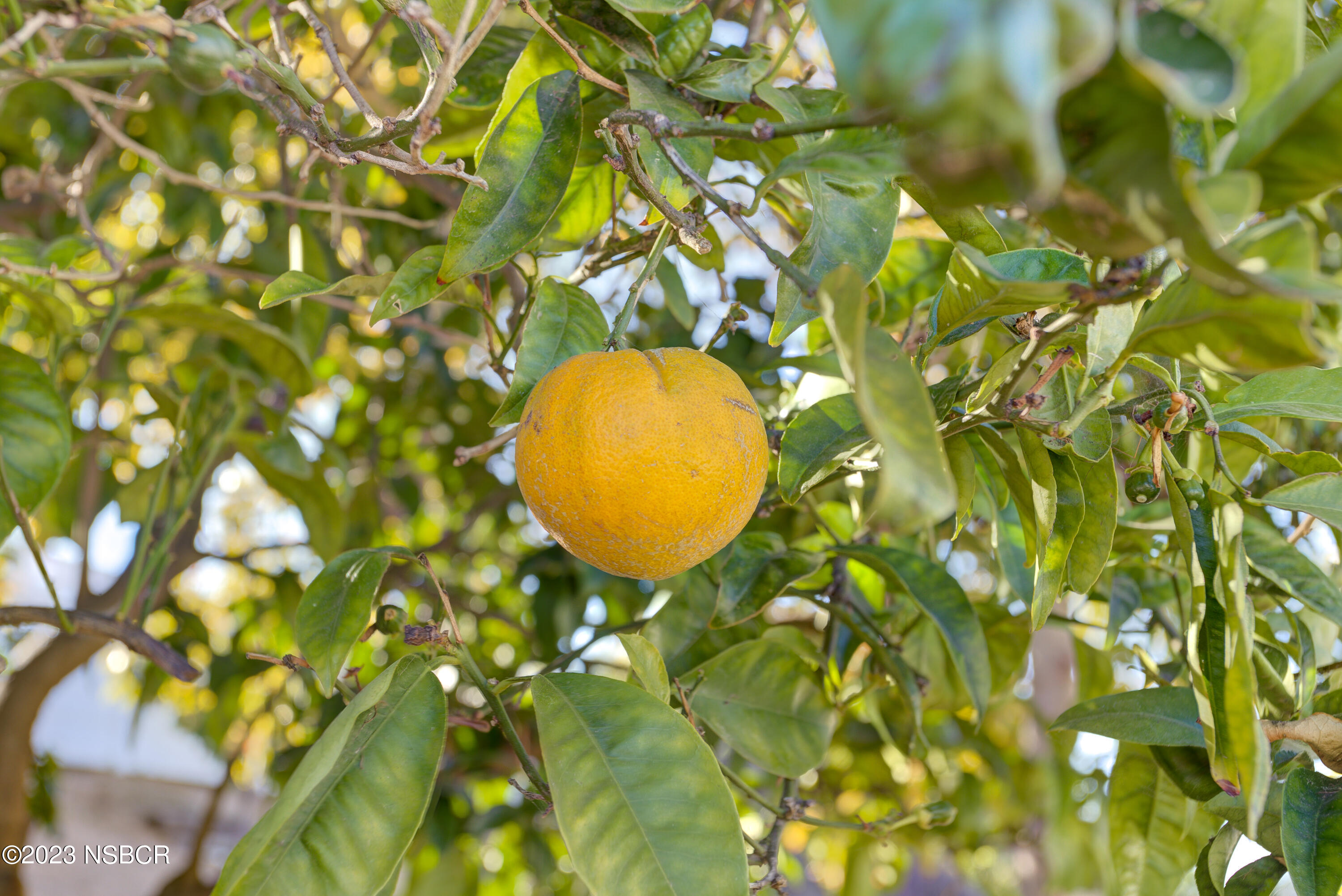 4139 Woodland Street