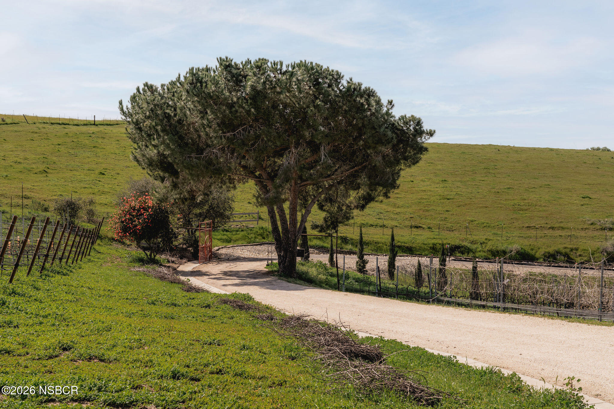 5951 Olivera Canyon Road