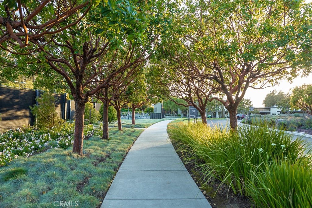 1016 Trail View