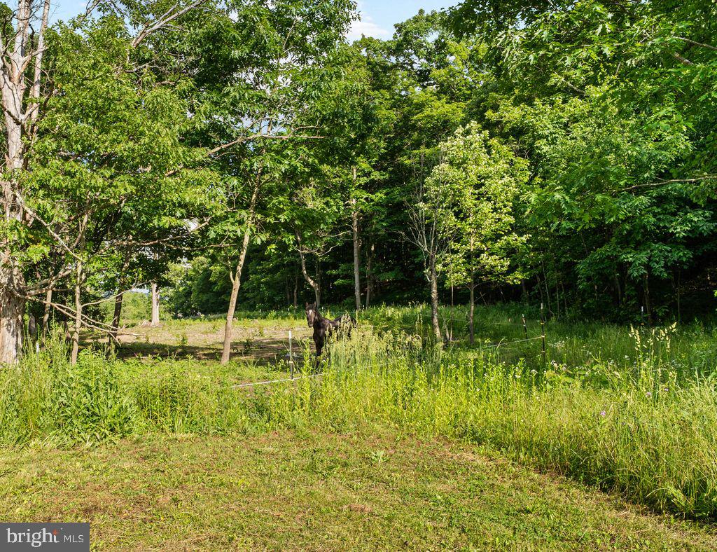 1030 BETHEL HOLLOW RD