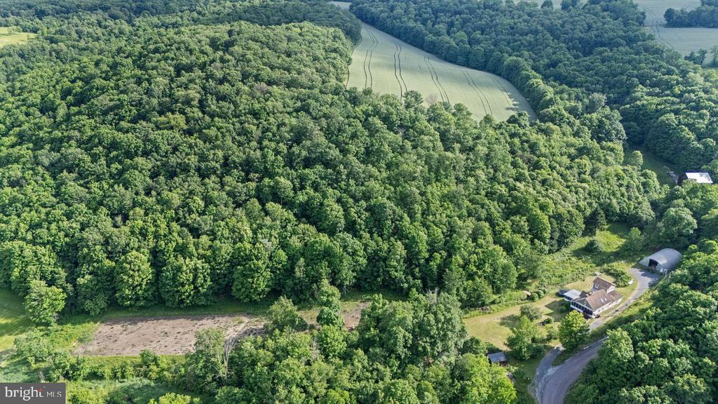 1030 BETHEL HOLLOW RD
