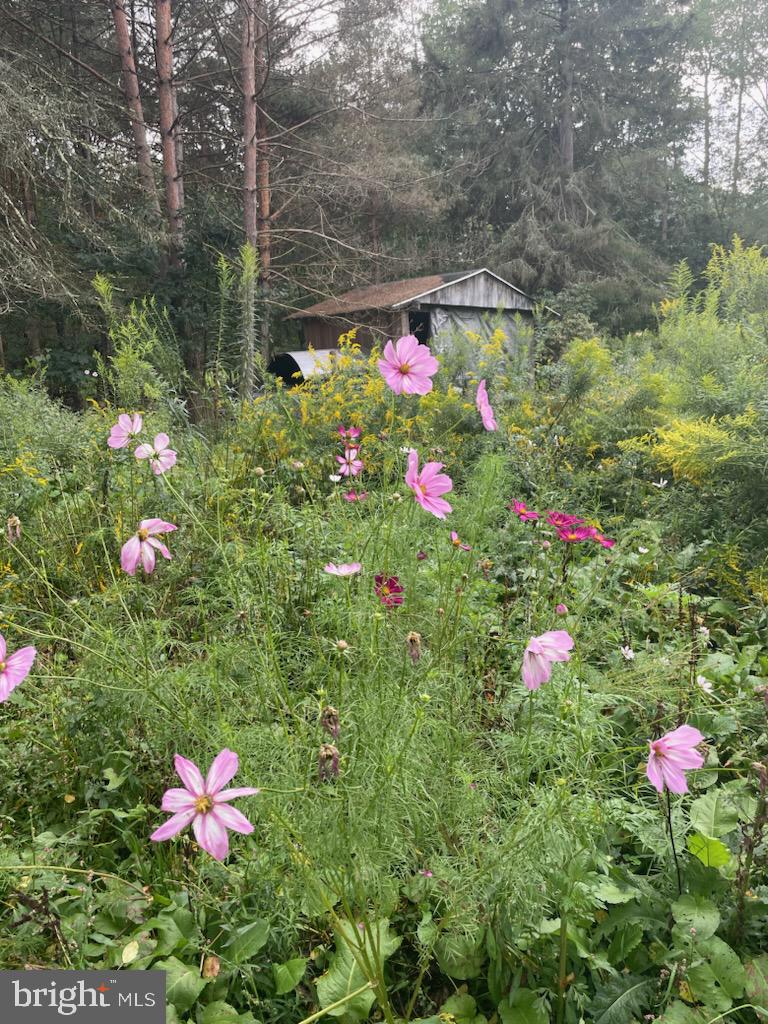 1459 TROY HAWK RUN HIGHWAY