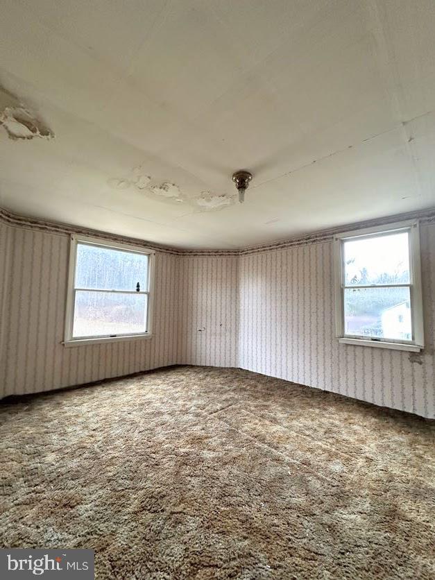 97 Haines Road