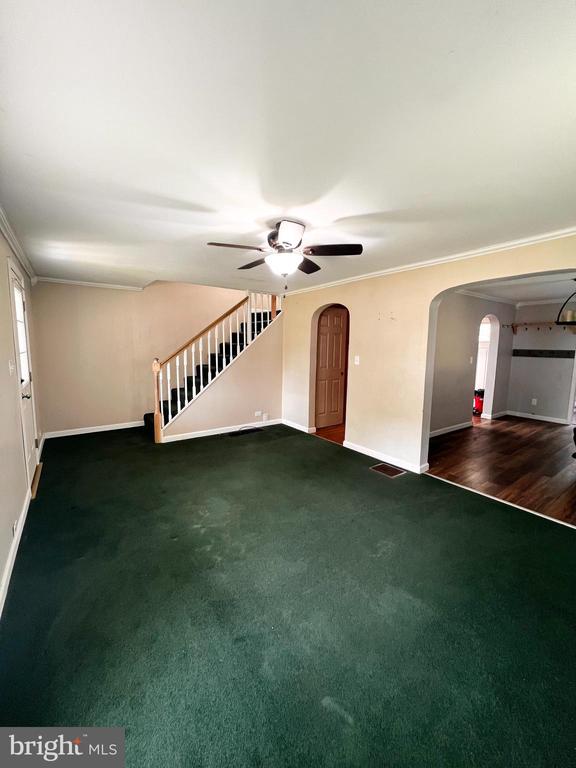 48 Buckhorn Dr