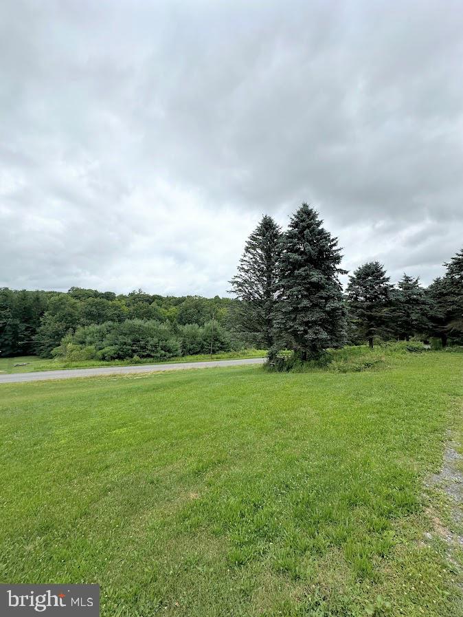 590 Frog Hollow Rd