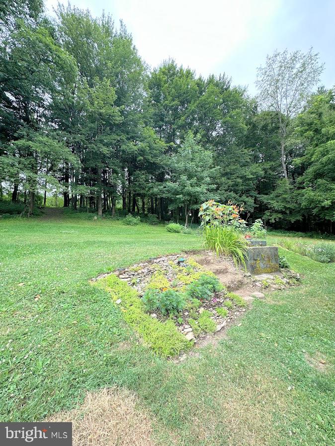 590 Frog Hollow Rd