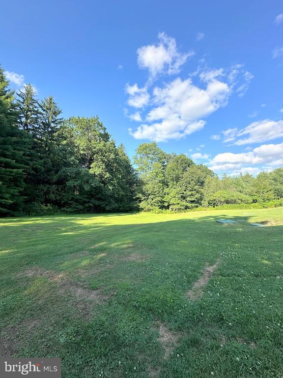 523 Frog Hollow Rd