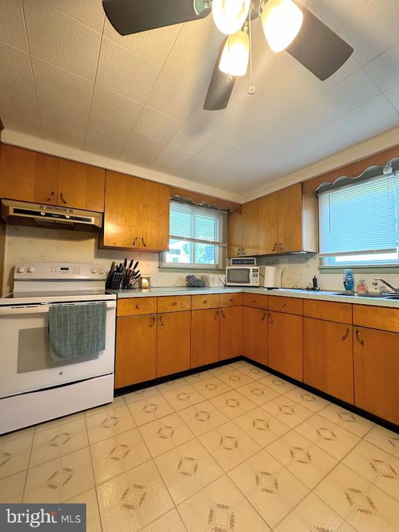 523 Frog Hollow Rd
