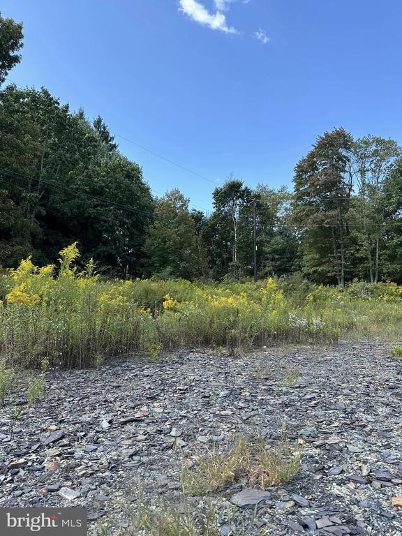 0 Hardscrabble Rd