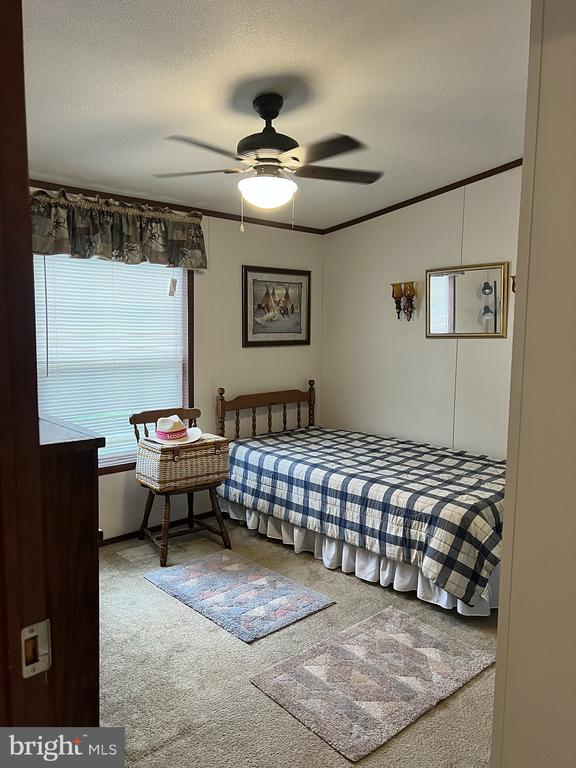5281 Morrisdale Allport Hwy