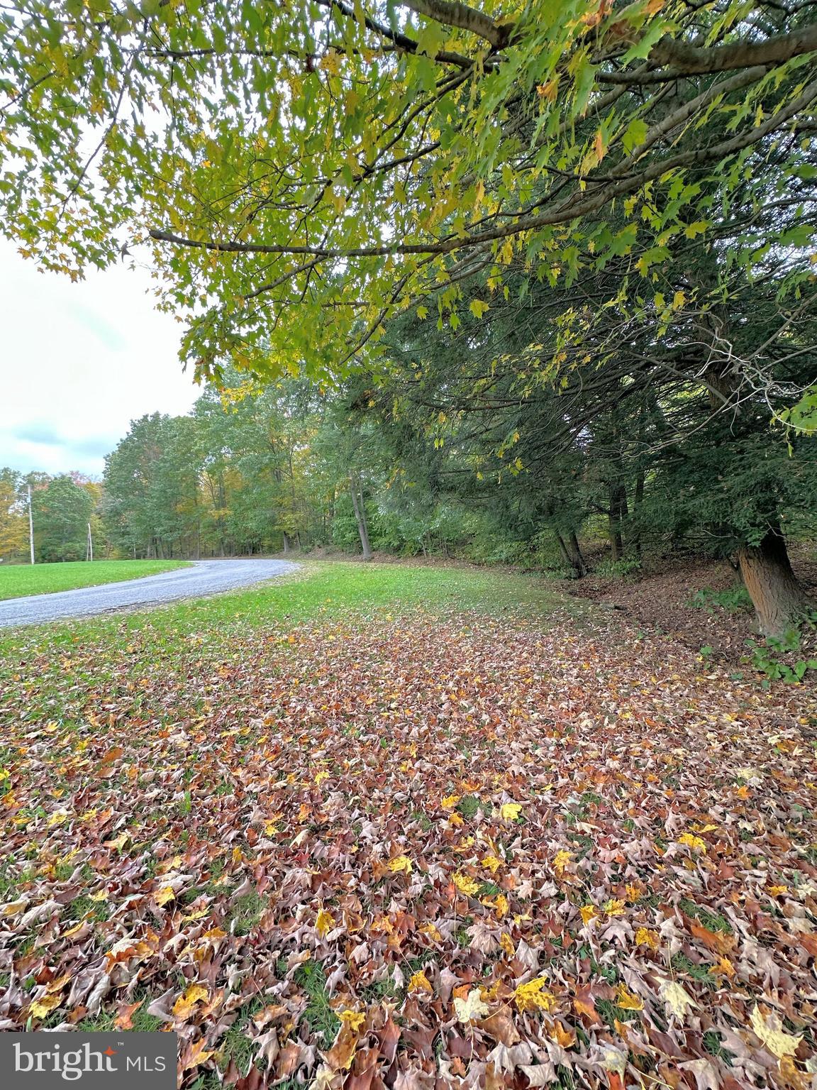 0 Bracken Rd