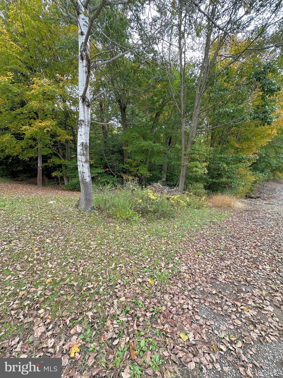 0 Bracken Rd