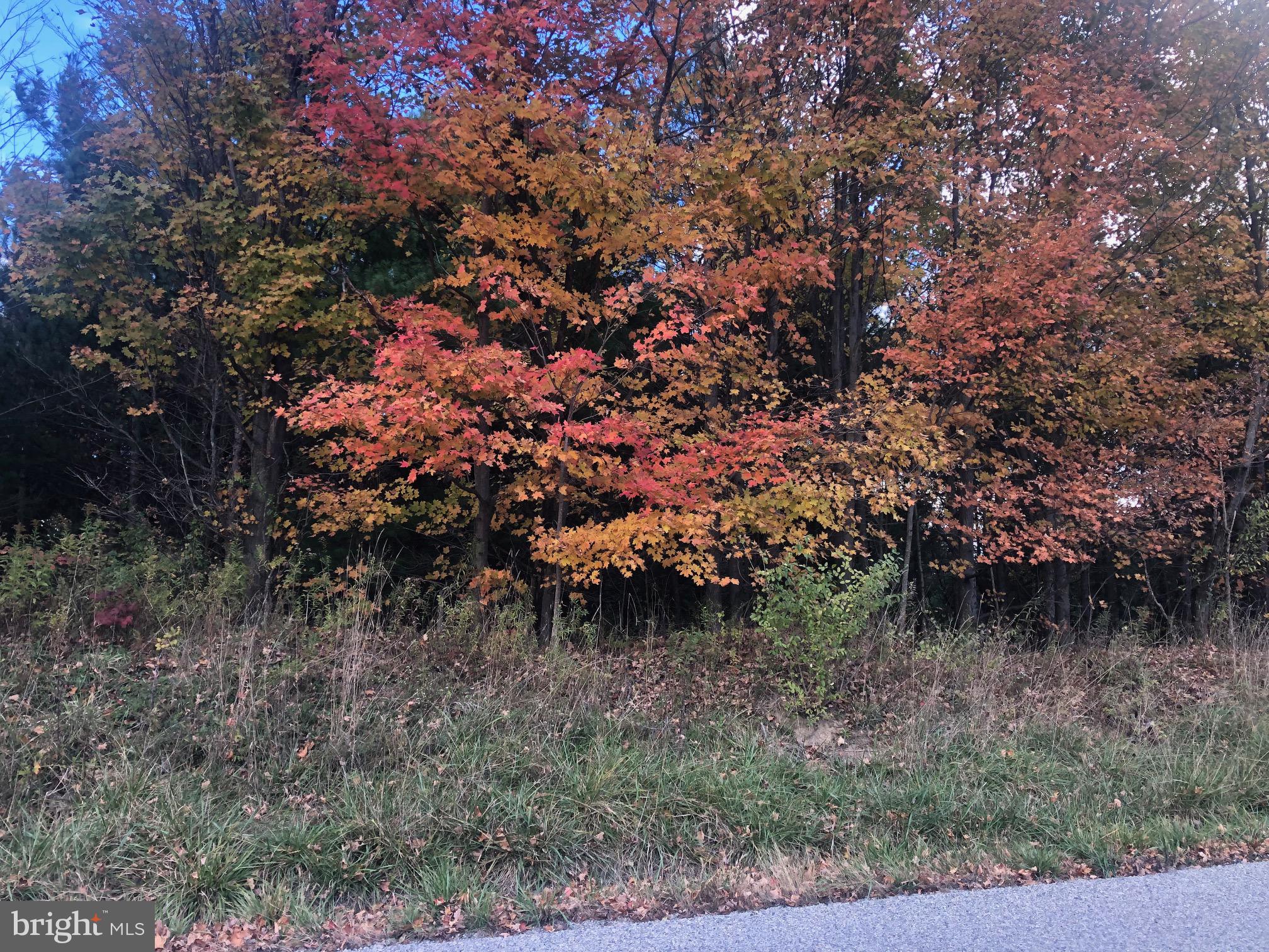 000 Pardee Road