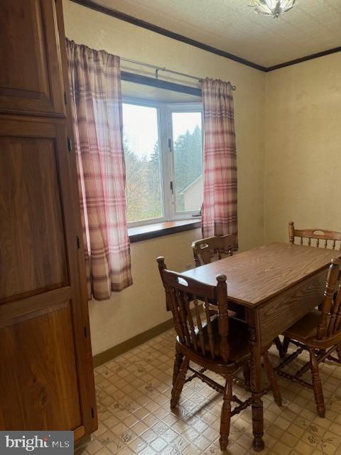 3392 Morrisdale Allport Hwy