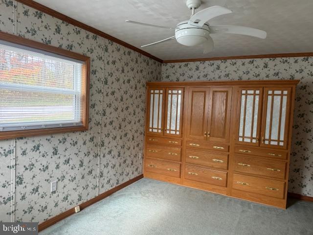 3392 Morrisdale Allport Hwy