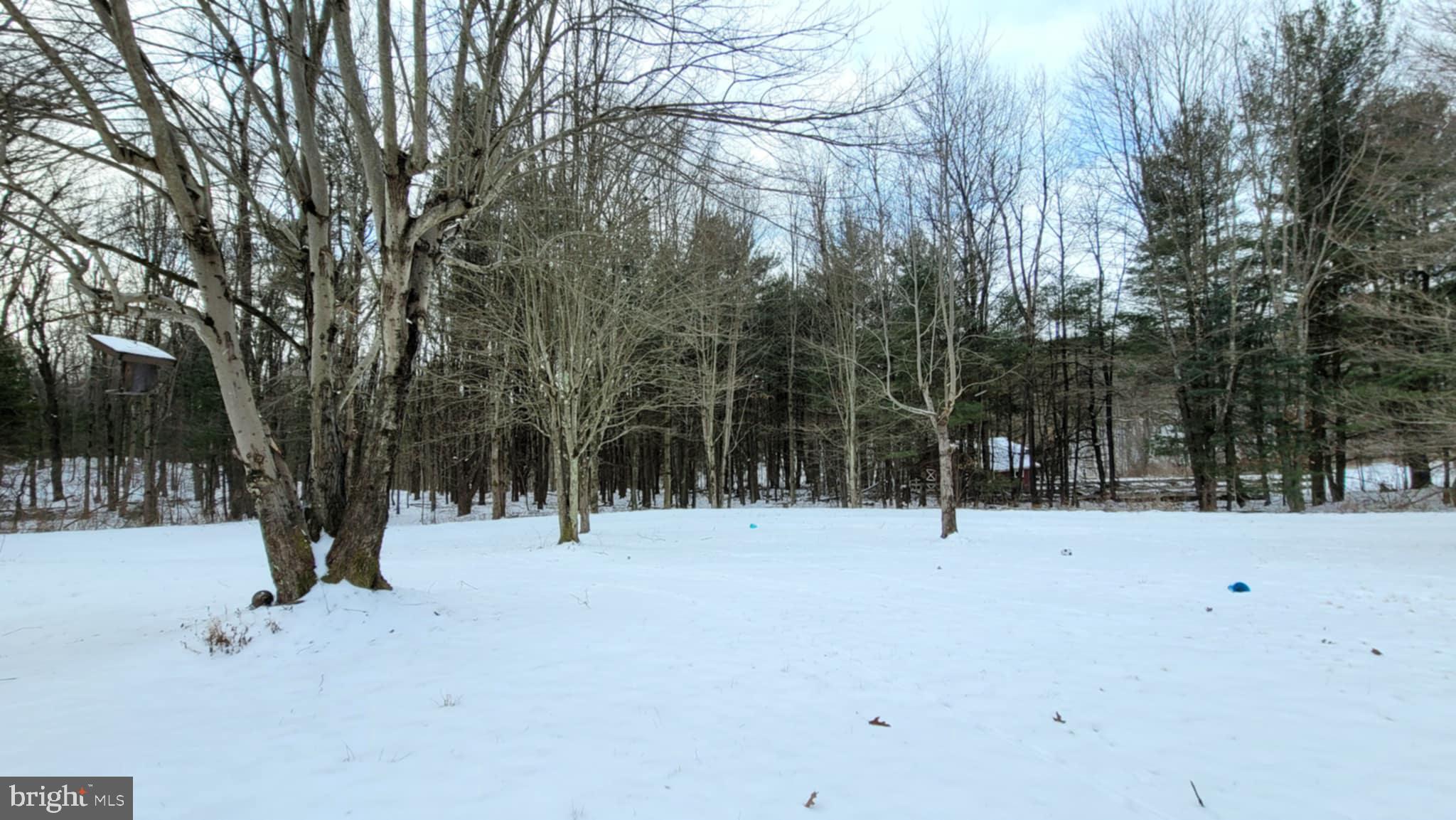 54 Ambrose Ln