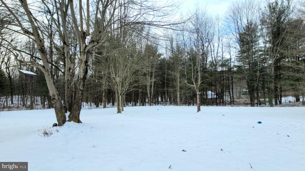 54 Ambrose Ln