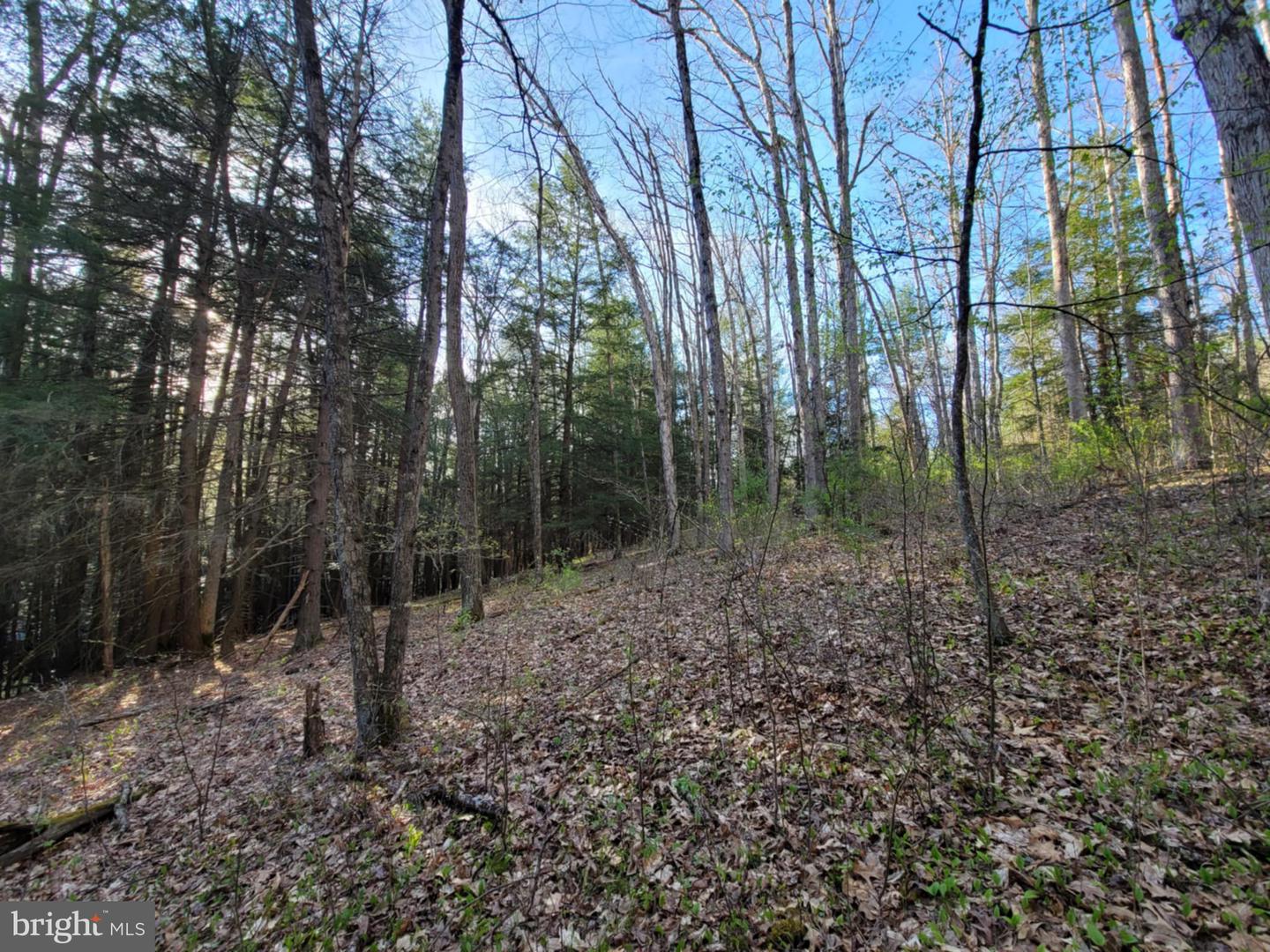 0 Back Hill Road