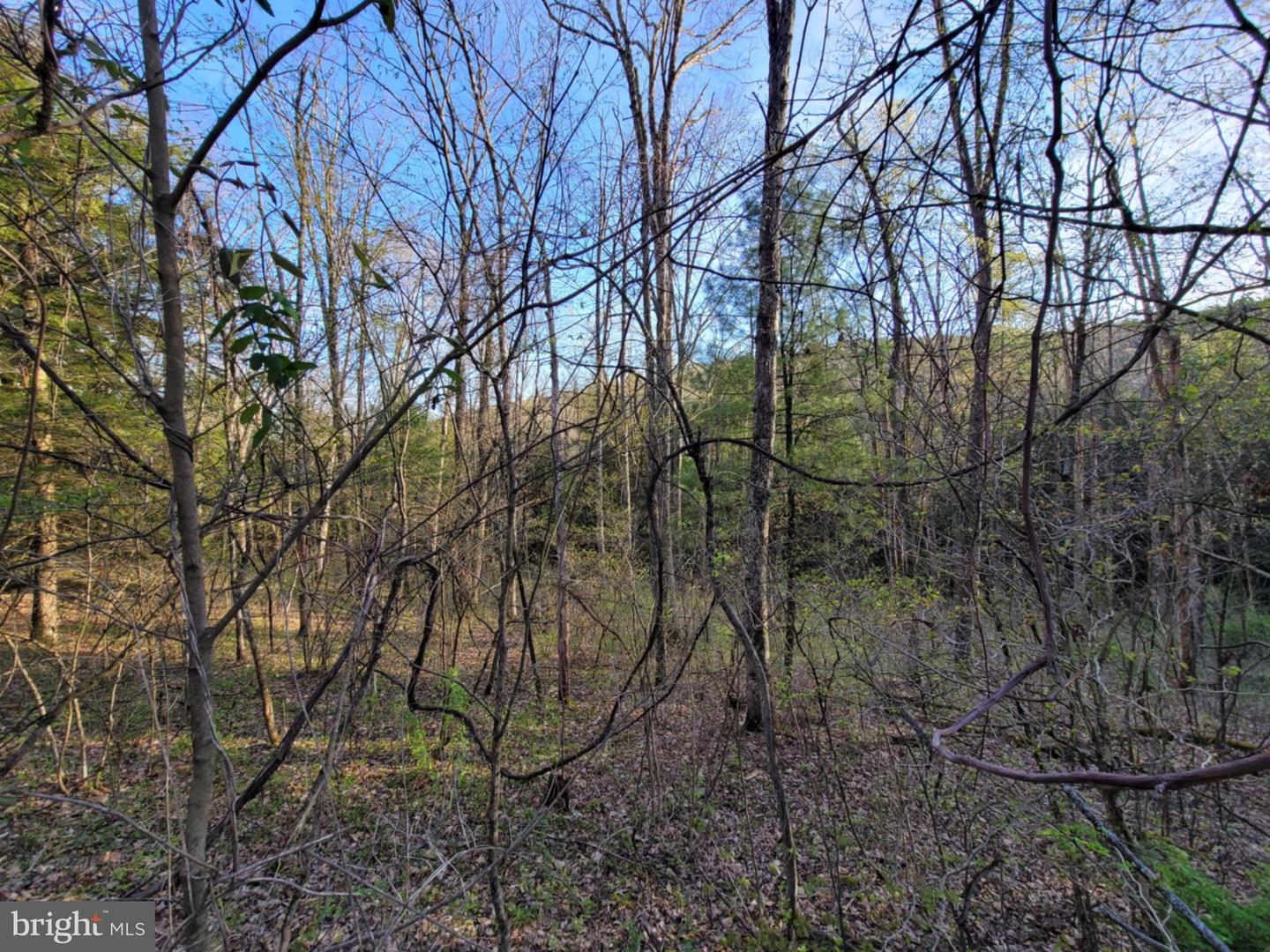 0 Back Hill Road