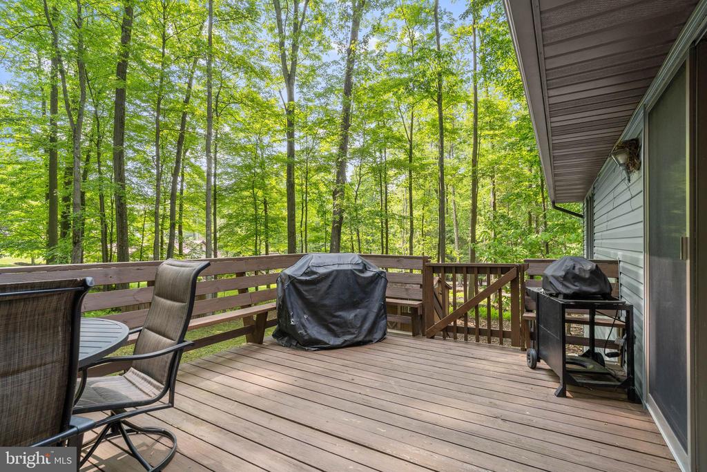 104 Blue Spruce