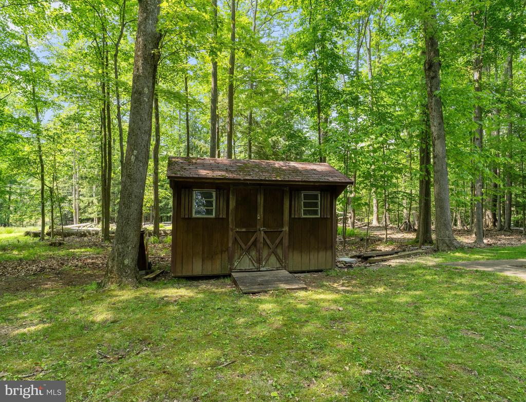 104 Blue Spruce