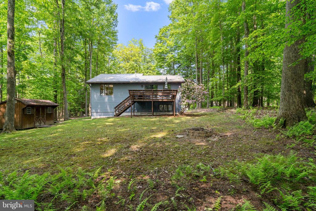 104 Blue Spruce