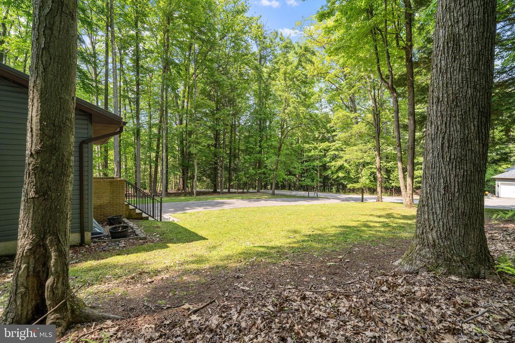 104 Blue Spruce