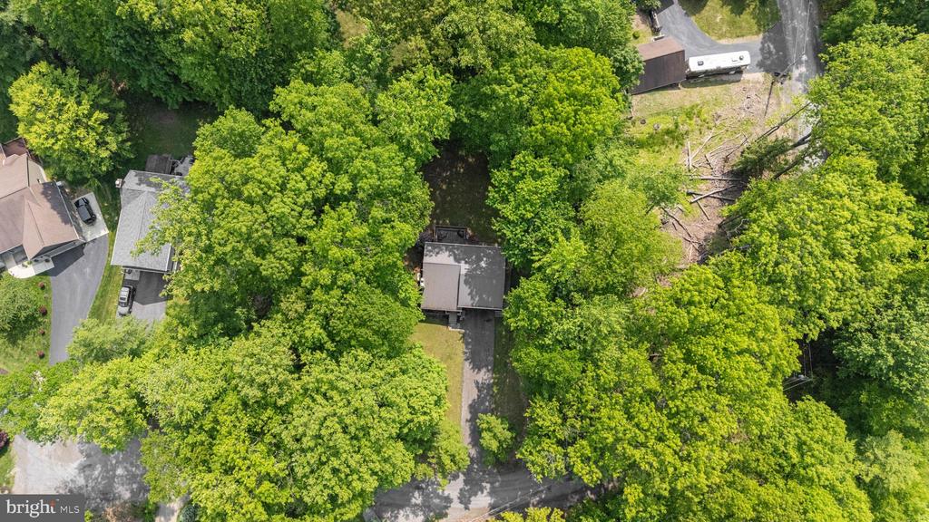 104 Blue Spruce